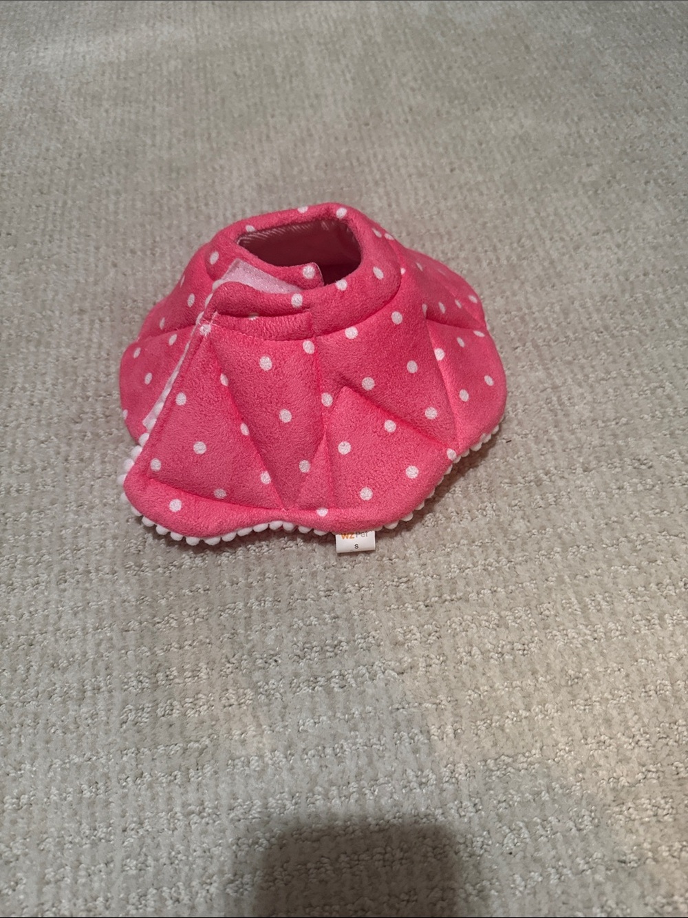 After surgery collar.